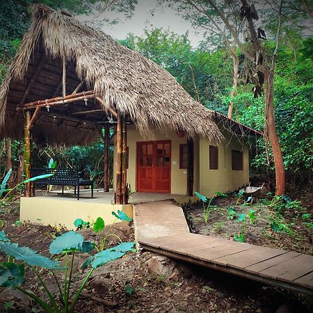 Raindance Hostel Santa Cruz Luaran gambar