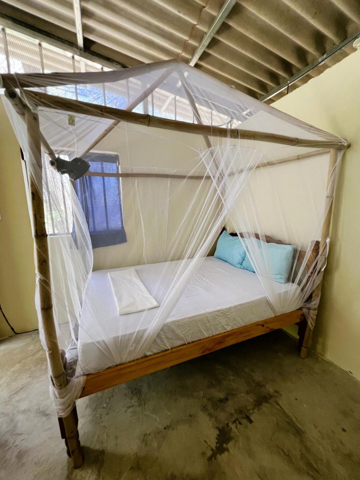 Raindance Hostel Santa Cruz Luaran gambar