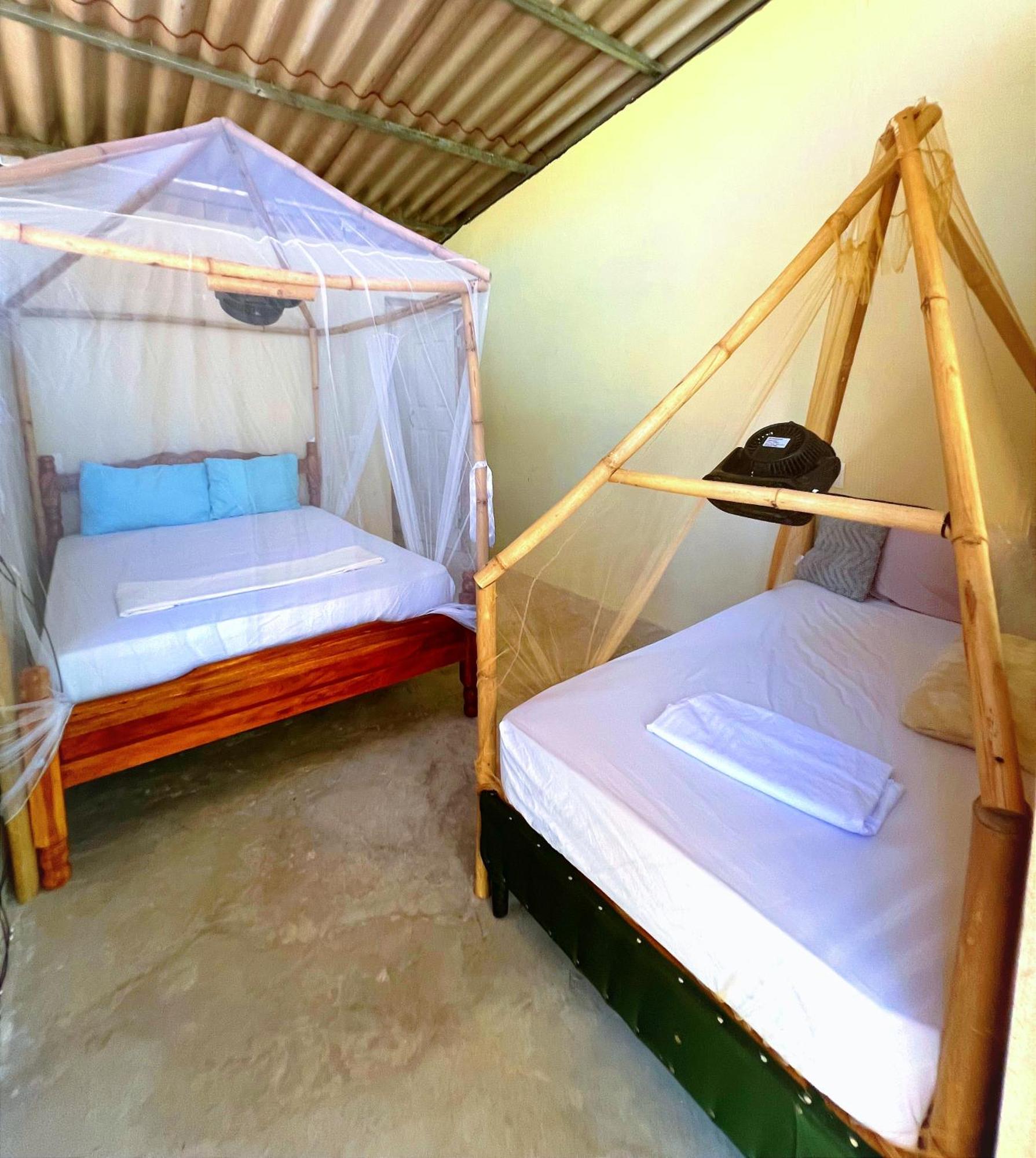 Raindance Hostel Santa Cruz Luaran gambar